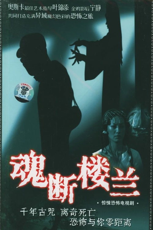Póster de 魂断楼兰
