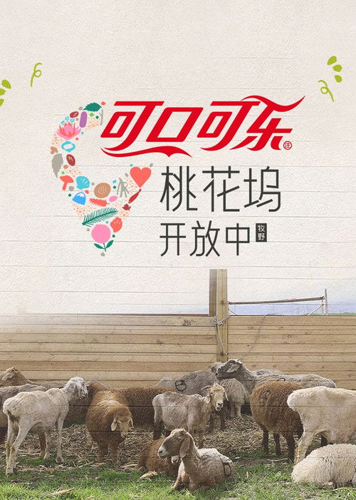 Póster de 桃花坞开放中