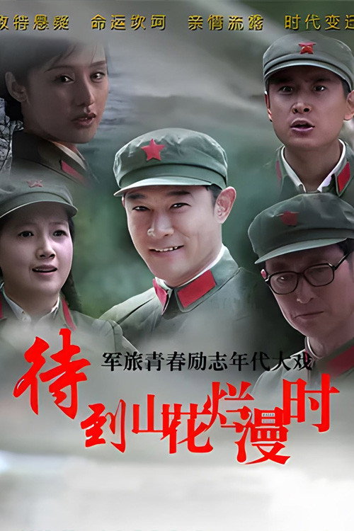 Póster de 待到山花烂漫时