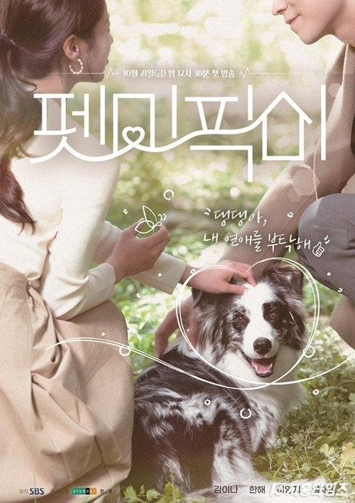 Póster de 펫미픽미
