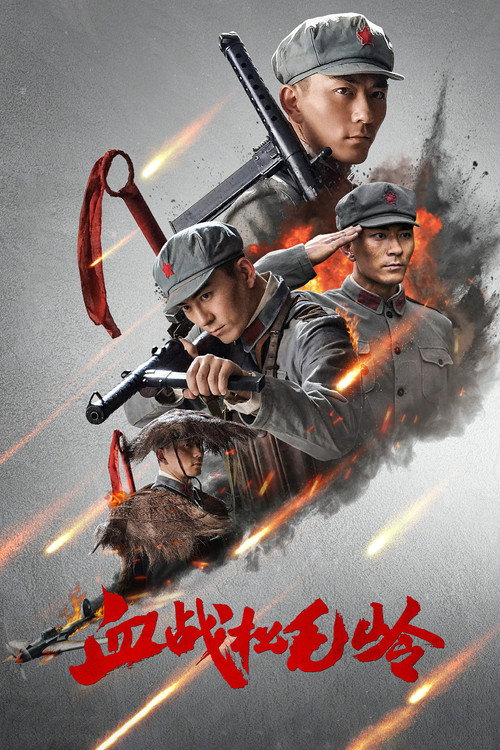 Póster de 血战松毛岭