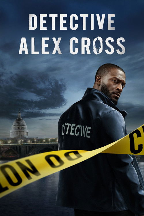 Póster de Detective Alex Cross