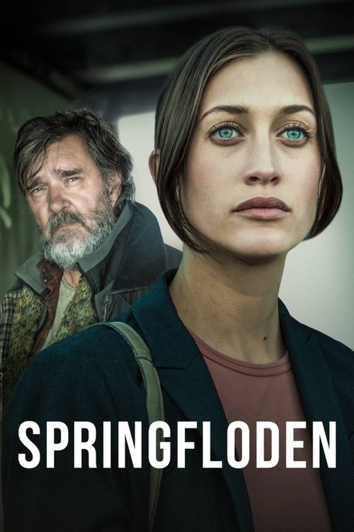 Póster de Springfloden