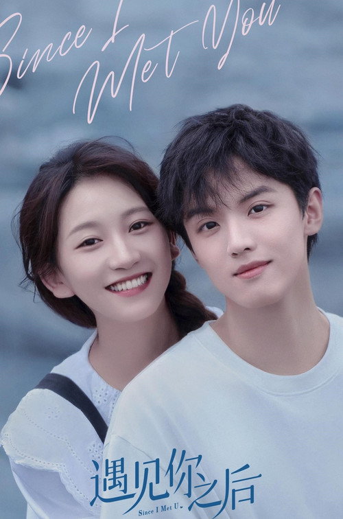 Póster de 遇见你之后