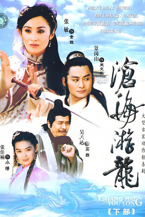 Póster de 沧海游龙
