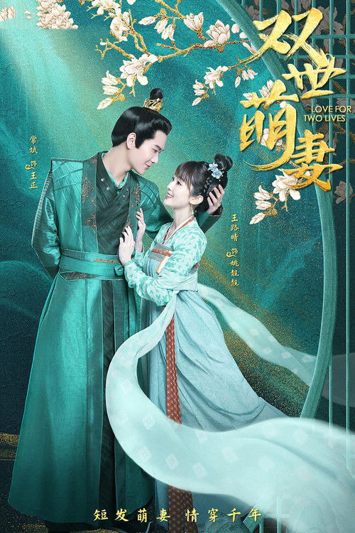 Póster de 双世萌妻