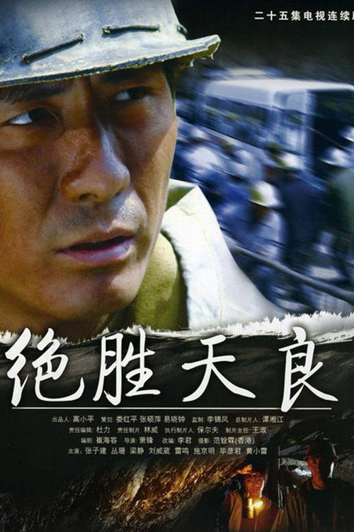 Póster de 绝胜天良