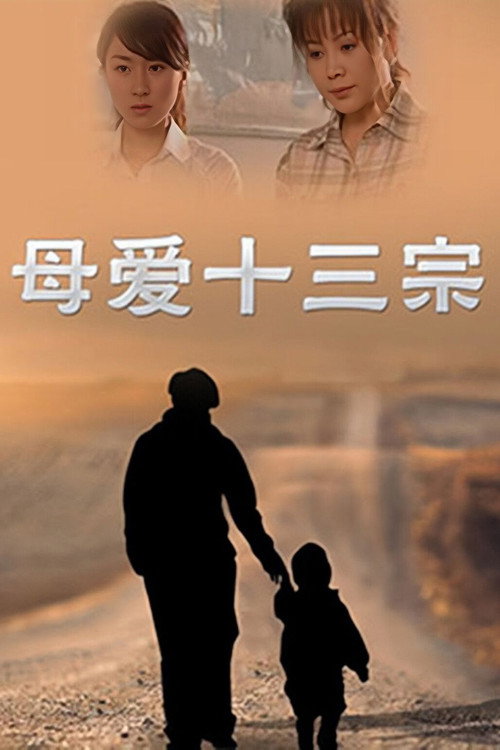 Póster de 母爱十三宗