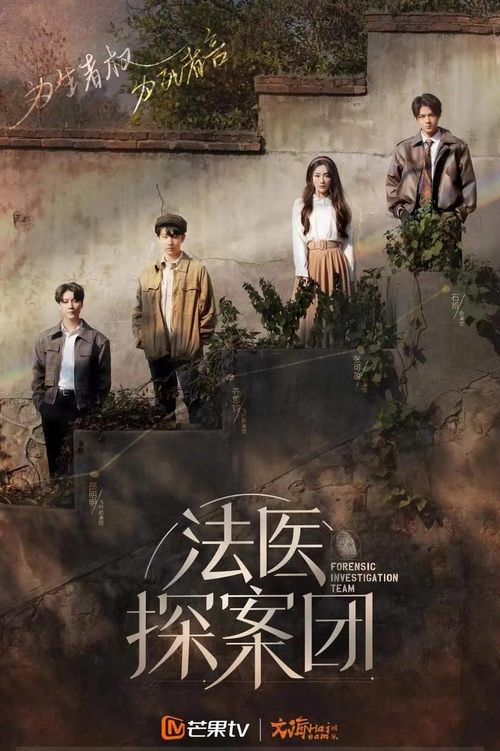 Póster de 法医探案团