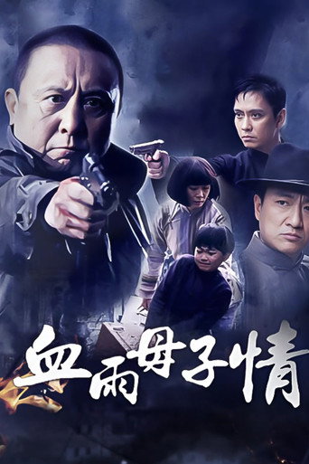Póster de 血雨母子情