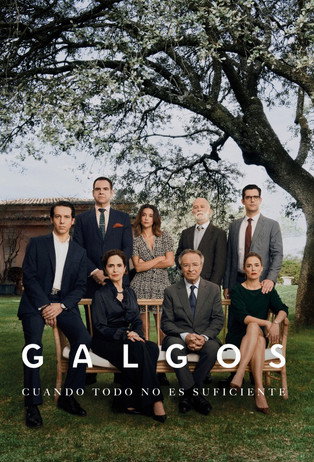 Póster de Galgos
