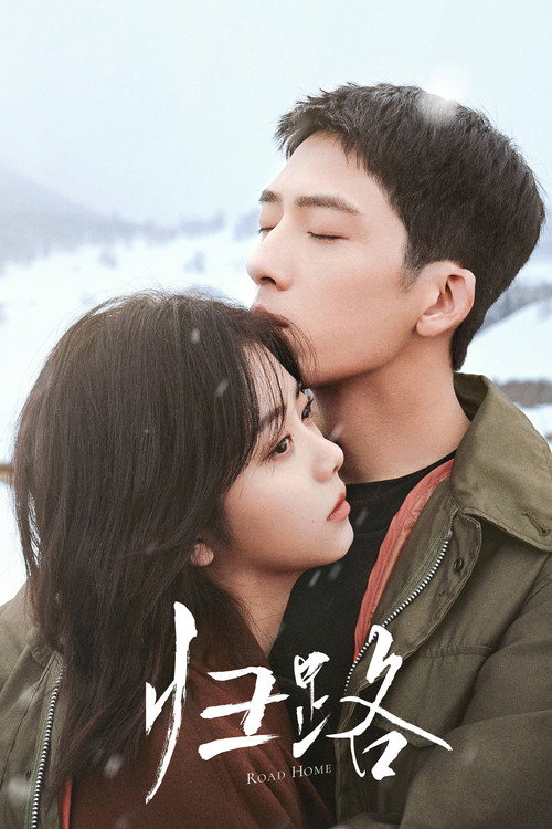 Póster de 归路