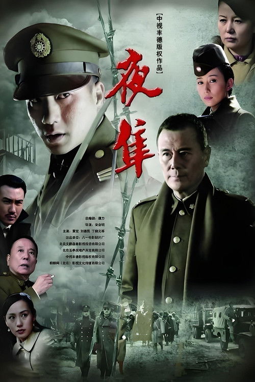 Póster de 夜隼