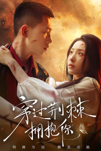 Póster de 穿过荆棘拥抱你