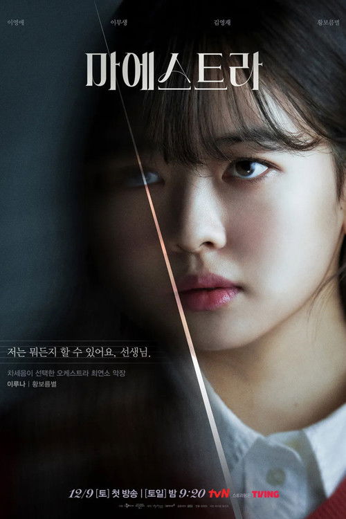 Póster de 마에스트라