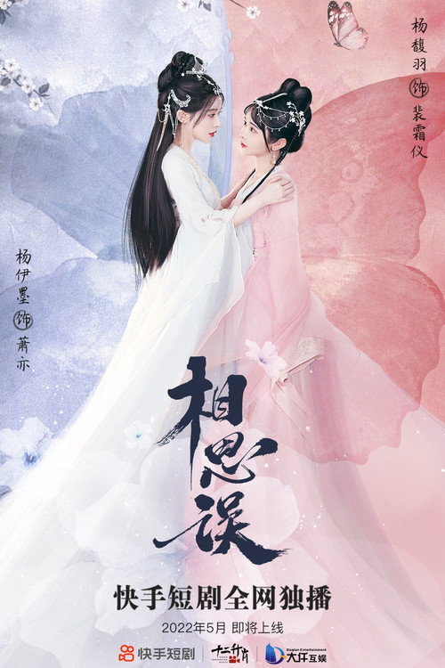 Póster de 相思误