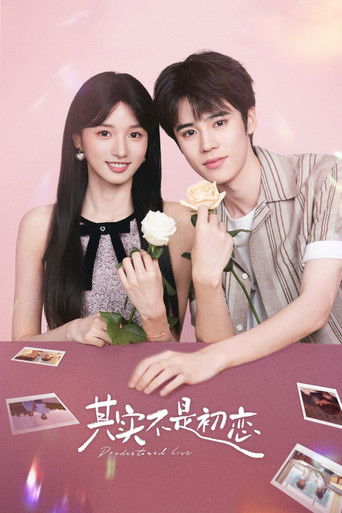 Póster de Predestined Love
