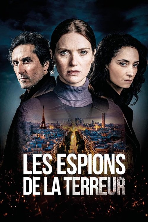 Póster de Les Espions de la terreur