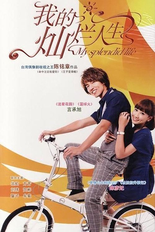 Póster de 我的灿烂人生
