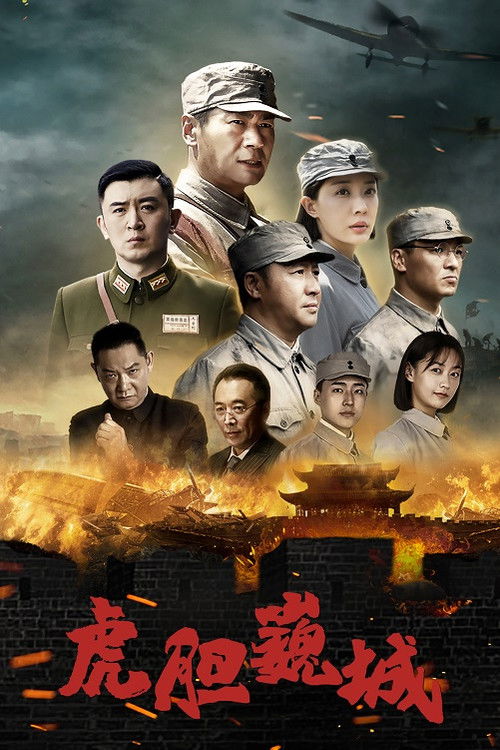Póster de 虎胆巍城