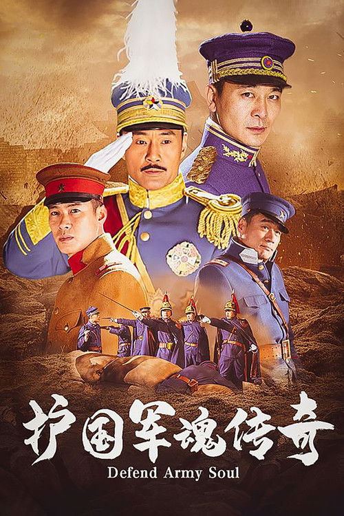Póster de 护国军魂传奇
