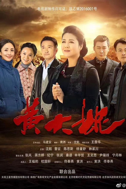 Póster de 黄大妮