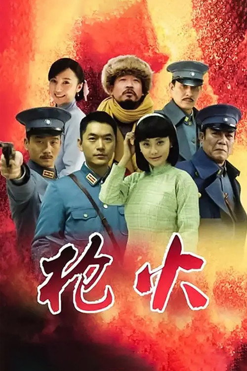 Póster de 枪火