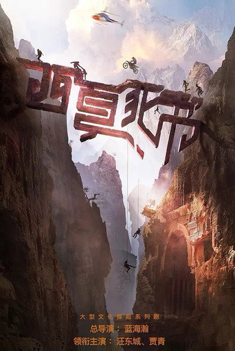 Póster de 西夏死书