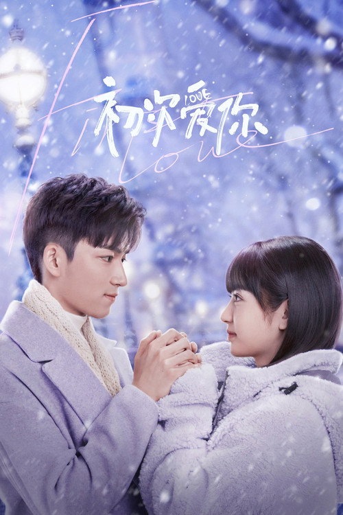 Póster de 初次爱你