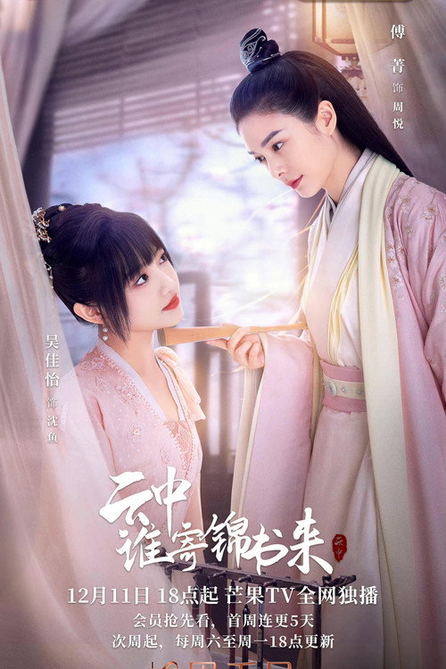 Póster de 云中谁寄锦书来