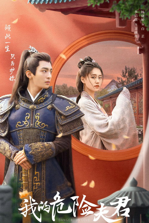 Póster de 我的危险夫君