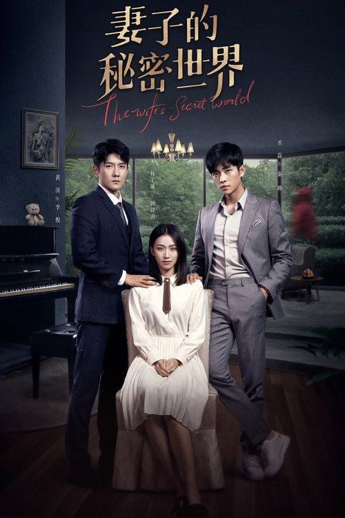 Póster de 妻子的秘密世界