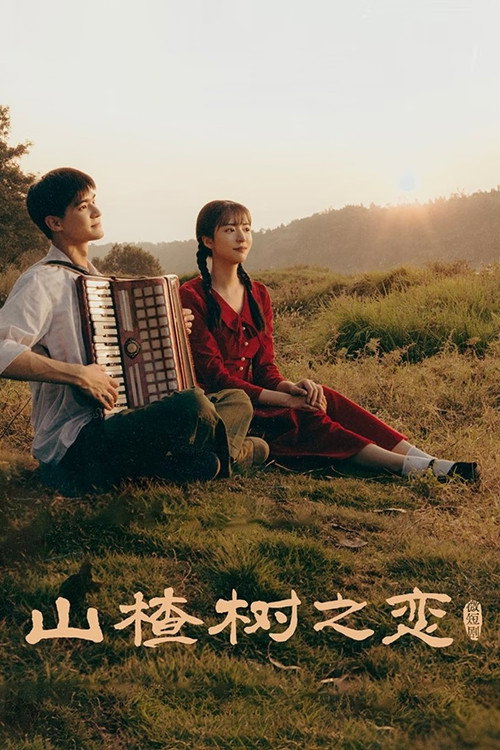 Póster de 山楂树之恋