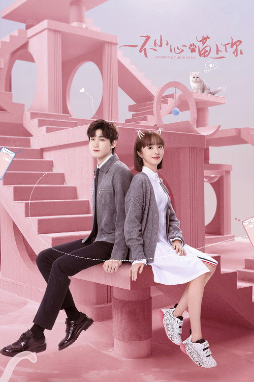 Póster de 一不小心喵上你
