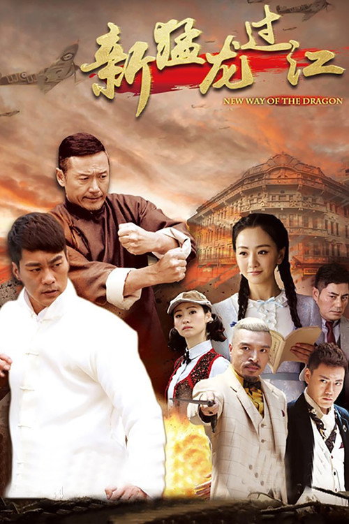 Póster de 新猛龙过江