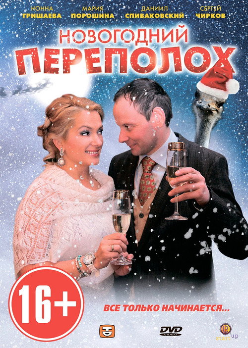 Póster de Новогодний переполох