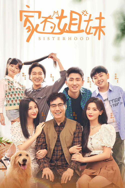 Póster de 家有姐妹