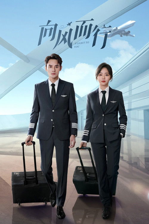 Póster de 向风而行