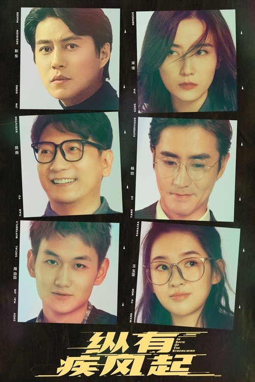 Póster de 纵有疾风起