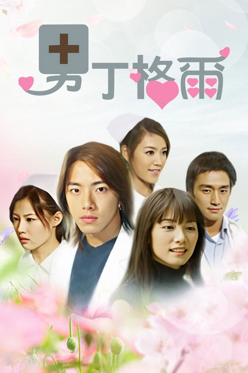 Póster de 男丁格爾