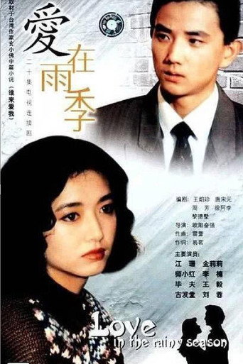 Póster de 爱在雨季