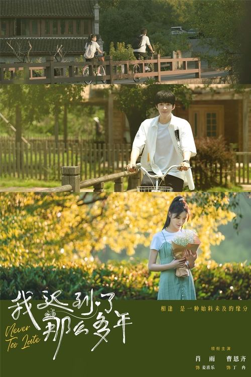 Póster de 我迟到了那么多年