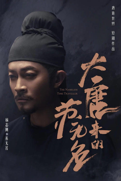Póster de 大唐来的苏无名