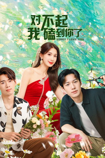 Póster de 对不起，我磕到你了