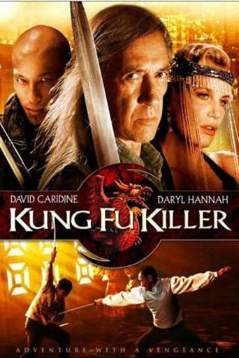 Póster de Kung Fu Killer