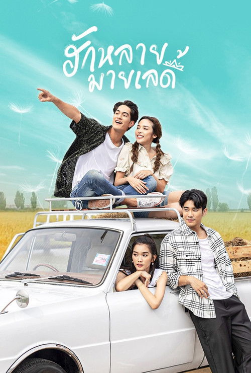 Póster de ฮักหลายมายเลดี้