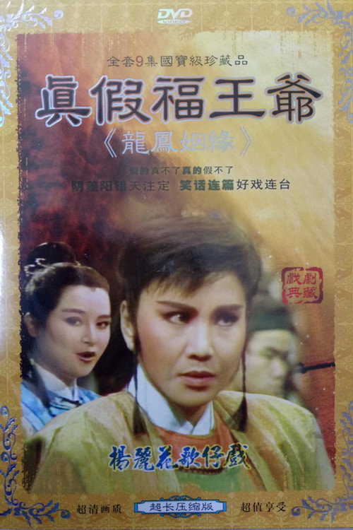 Póster de 龍鳳姻緣