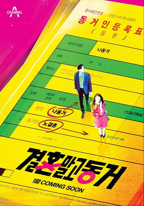 Póster de 결혼 말고 동거