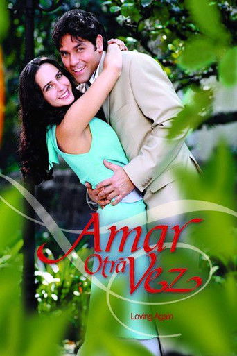 Póster de Amar Otra Vez