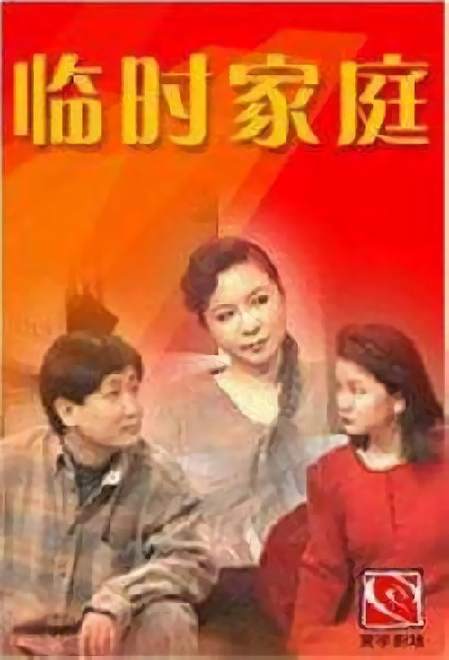 Póster de 临时家庭